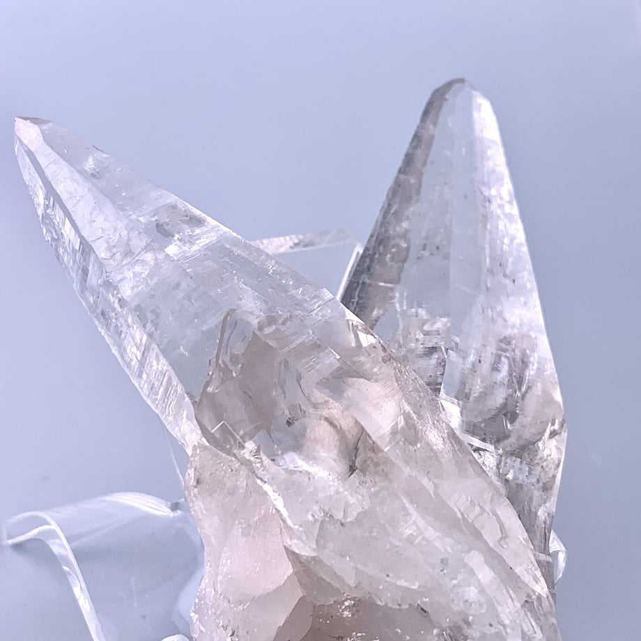 60c081051039862958848b66