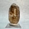 【ガネッシュヒマール産】バイオタイトイン天然ヒマラヤ水晶/Ganesh Himal Biotite in Himalayan Quartz