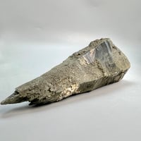 ティンシャ】アスタマンガル(約6.5cm)/Tingsha Ashtamangala🇳🇵ma