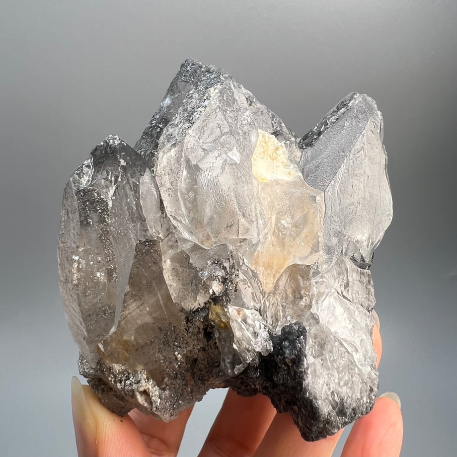6699dac8ff39a10b161fb89e