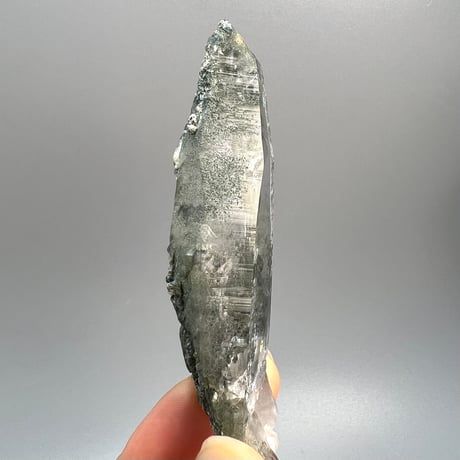 【ガネッシュヒマール産】クローライトイン天然ヒマラヤ水晶/Ganesh Himal Chlorite in Himalayan Quartz