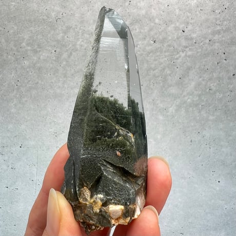 【ガネッシュヒマール産】クローライトイン天然ヒマラヤ水晶/Ganesh Himal Chlorite in Himalayan Quartz Point