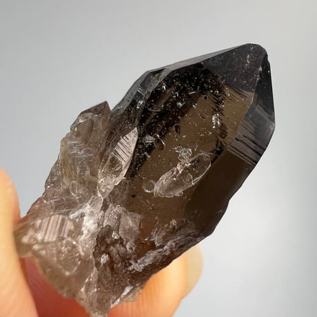 【ガウリシャンカール産】天然ヒマラヤスモーキークォーツポイントセット⑤/GauriShankar Himalayan Smoky Quartz Point Set