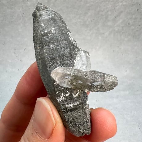 【ガネッシュヒマール産】クローライトイン天然ヒマラヤ水晶ポイント/Ganesh Himal Chlorite in Himalayan Quartz Point