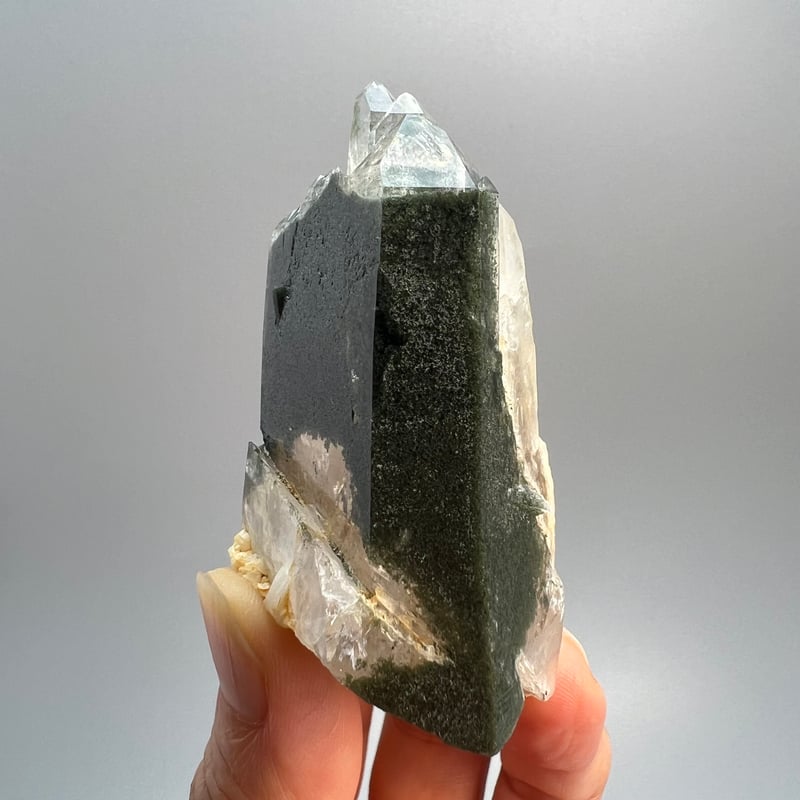 【匿名は発送】ガネッシュヒマール産 クローライト内包水晶 ネパール/ガネッシュヒマール産ヒマラヤ水晶クローライト・角