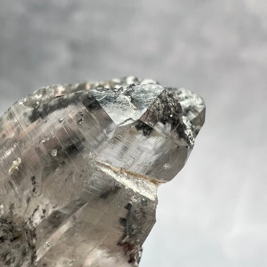 69ba46131435c10ef29b3299