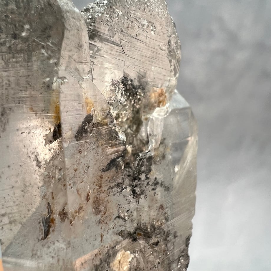 69ba46131435c10ef29b3299