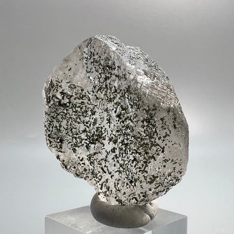 【ガネッシュヒマール産】クローライトイン天然ヒマラヤ水晶/Ganesh Himal Chlorite in Himalayan Quartz