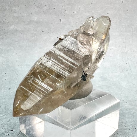 【ガネッシュヒマール産】ヘマタイト イン天然ヒマラヤ水晶/Ganesh Himal Hematite in Himalayan Quartz