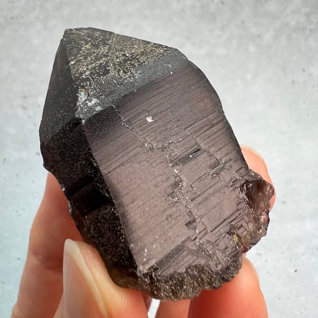 【ガウリシャンカール産】天然ヒマラヤスモーキークォーツ"D" /GauriShankar Himalayan Smoky Quartz