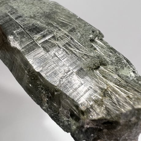 【ガネッシュヒマール産】クローライト&アクチノライトイン天然ヒマラヤ水晶ポイント④/Ganesh Himal Chlorite&Actinolite in  Himalayan Quartz
