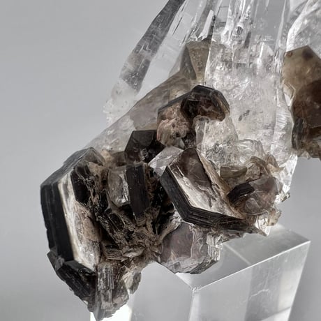 【ガネッシュヒマール産】天然ヒマラヤ水晶 (雲母付き)/Ganesh Himal Himalayan Quartz white Mica Cluster