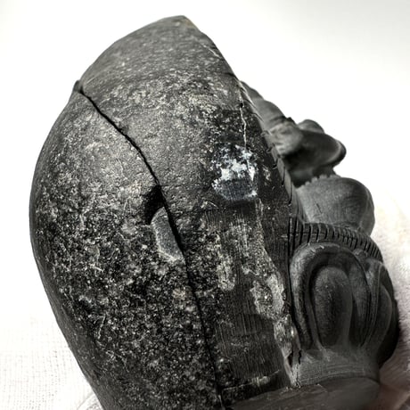 Ammonite Vajrasatva "アンモナイト ヴァジュラサットヴァ"