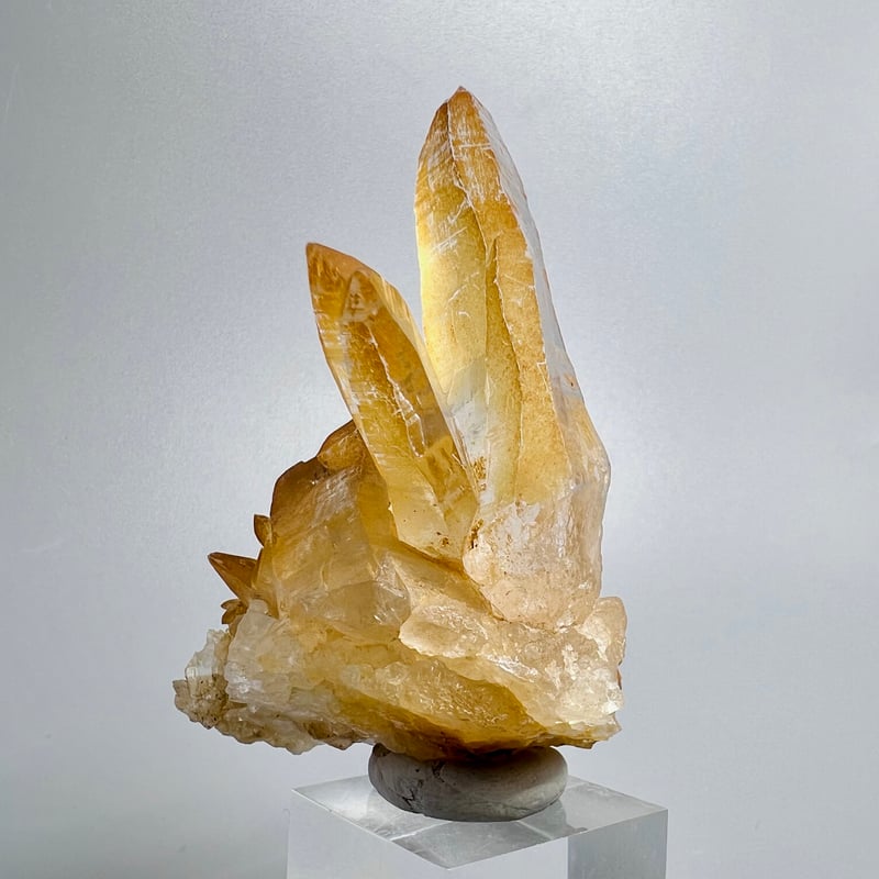 ガネッシュヒマール産リモナイトインヒマラヤ水晶/Ganesh Himal