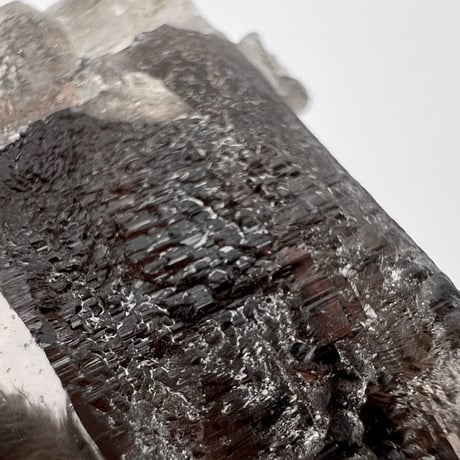 ガウリシャンカール産天然ヒマラヤスモーキークォーツポイント/GauriShankar Himalayan Smoky Quartz