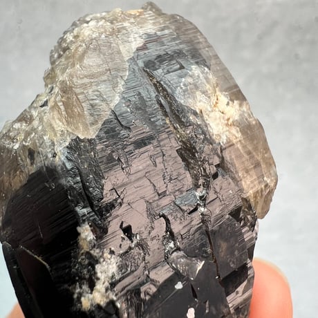 【ガウリシャンカール産】天然ヒマラヤスモーキークォーツポイント⑨/GauriShankar Himalayan Smoky Quartz Point