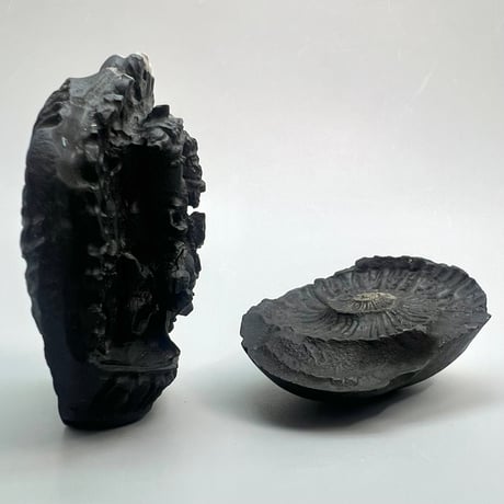 【Himalayan Saligram/Ammonite 】"Kala Bhairava"①/ヒマラヤ サリグラム/アンモナイト "カーラバイラヴァ"