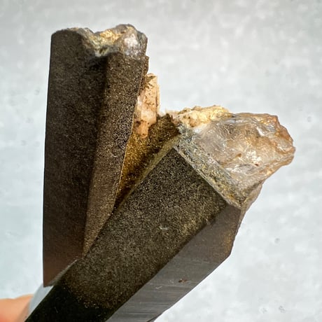 【ガネッシュヒマール産】クローライトイン天然ヒマラヤ水晶/Ganesh Himal Chlorite in Himalayan Quartz