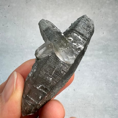 【ガネッシュヒマール産】クローライトイン天然ヒマラヤ水晶ポイント/Ganesh Himal Chlorite in Himalayan Quartz Point