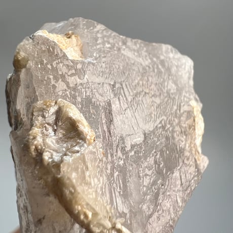 【カイラス産】カイラス産天然ヒマラヤ水晶⑥/Kailash Himalayan Quartz
