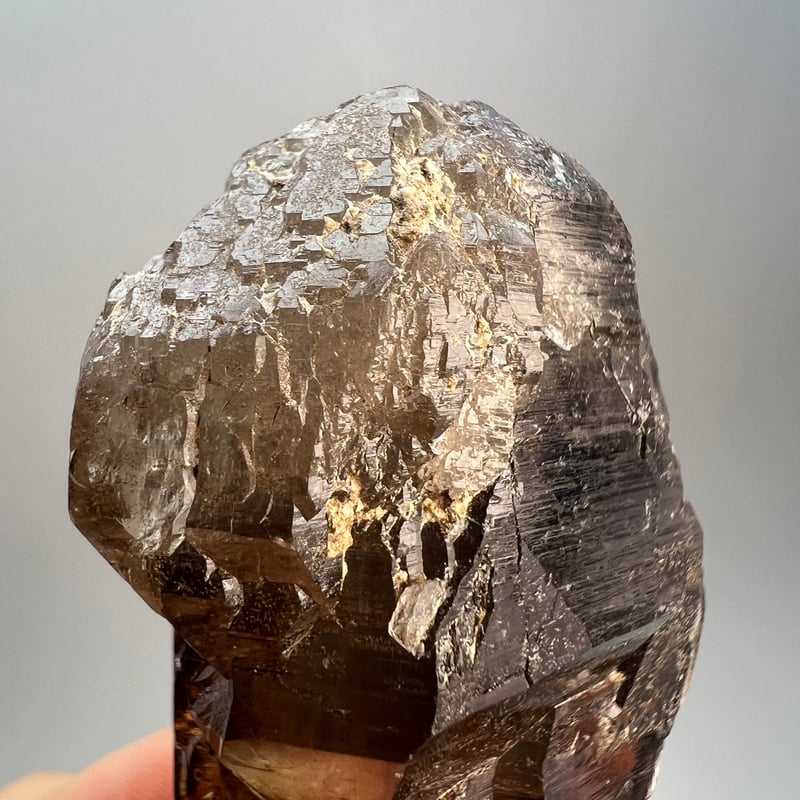 ガウリシャンカール産】天然ヒマラヤスモーキークォーツ