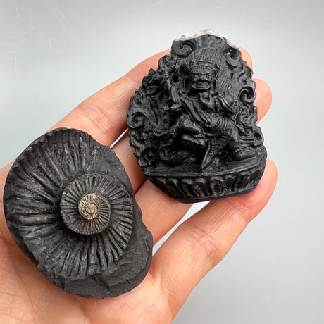 【Himalayan Saligram/Ammonite 】"Kala Bhairava"①/ヒマラヤ サリグラム/アンモナイト "カーラバイラヴァ"