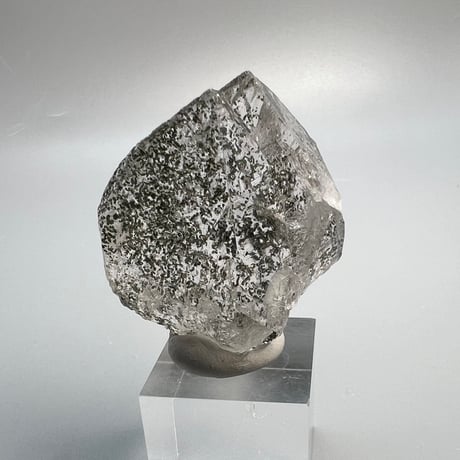【ガネッシュヒマール産】クローライトイン天然ヒマラヤ水晶/Ganesh Himal Chlorite in Himalayan Quartz