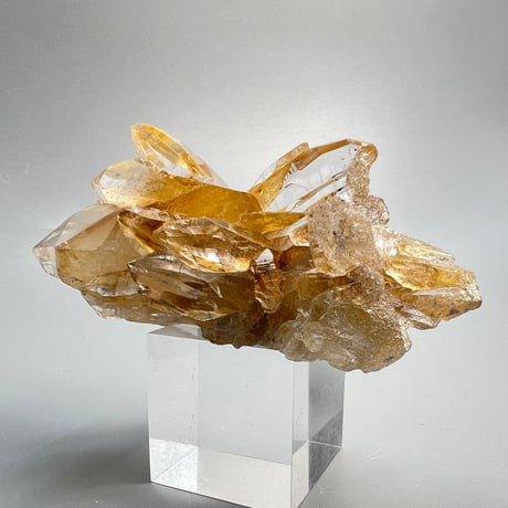 【ガネッシュヒマール産】リモナイトインヒマラヤ水晶クラスター/Ganesh Himal Limonite in Himalayan Quartz Cluster