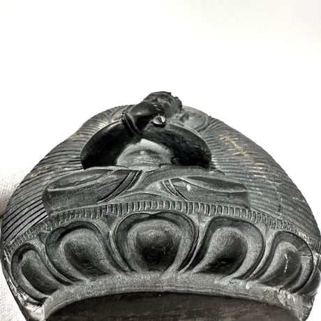 Ammonite Vajrasatva "アンモナイト ヴァジュラサットヴァ"