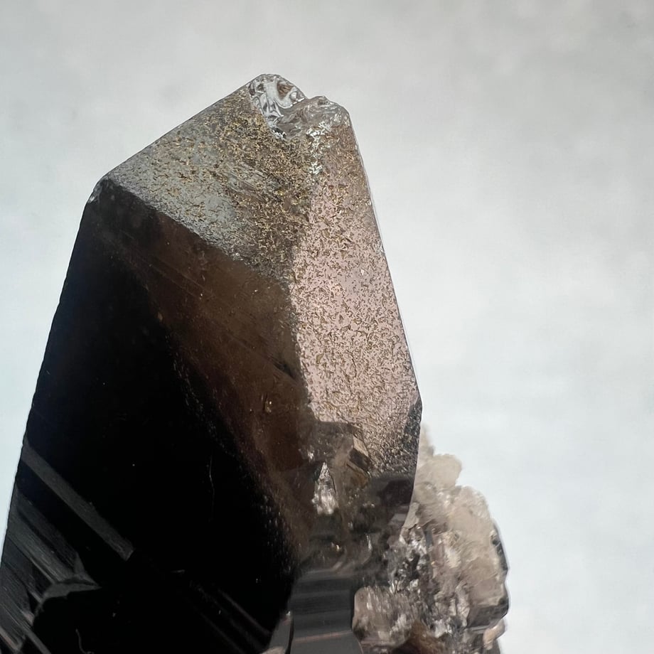663b39930d04b90031796760
