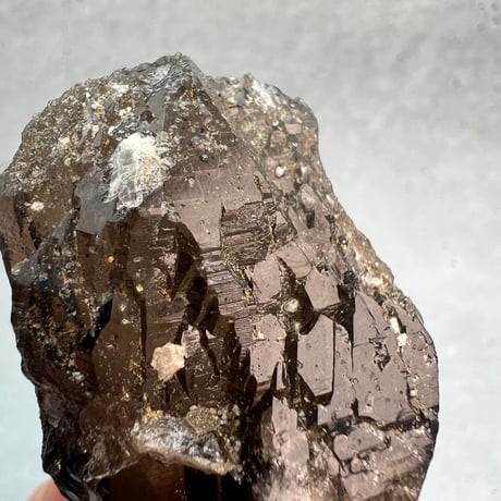 【ガウリシャンカール産】天然ヒマラヤスモーキークォーツ"D" /GauriShankar Himalayan Smoky Quartz