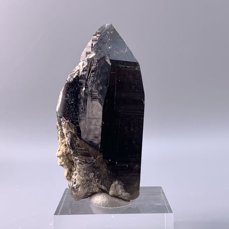 ガウリシャンカール産天然ヒマラヤスモーキークォーツポイント/Gaurishankar Himalayan Quartz Point