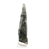 【ガネッシュヒマール産】クローライト&アクチノライトイン天然ヒマラヤ水晶ポイント④/Ganesh Himal Chlorite&Actinolite in  Himalayan Quartz