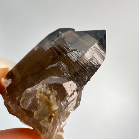 【ガウリシャンカール産】天然ヒマラヤスモーキークォーツポイントセット⑤/GauriShankar Himalayan Smoky Quartz Point Set