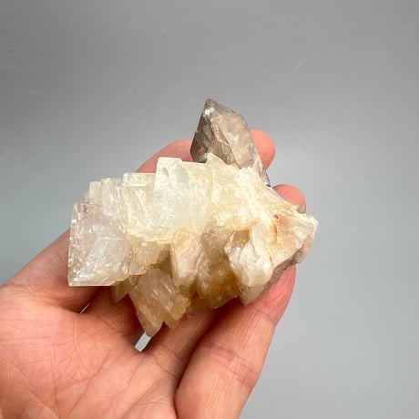 レア✨️【ガウリシャンカール産】天然ヒマラヤスモーキークォーツ   アデュラリア共生/GauriShankar Himalayan Smoky Quartz with Aduraria