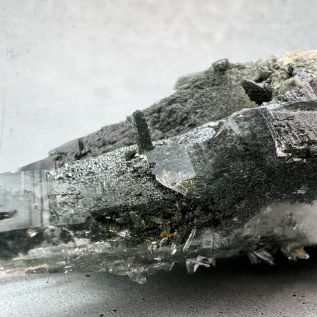 【ガネッシュヒマール産】クローライトイン天然ヒマラヤ水晶 Ganesh Himal Chlorite in Himalayan Quartz