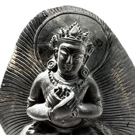 Ammonite Vajrasatva "アンモナイト ヴァジュラサットヴァ"
