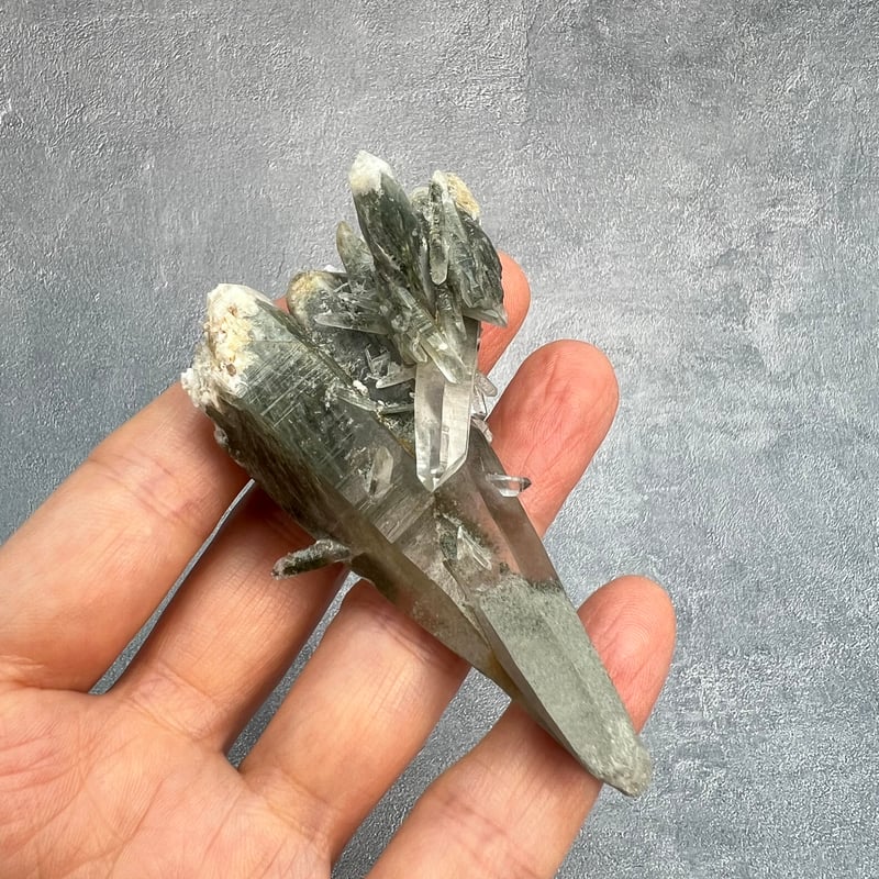 ガネッシュヒマール産】アクチノライト&クローライトイン天然