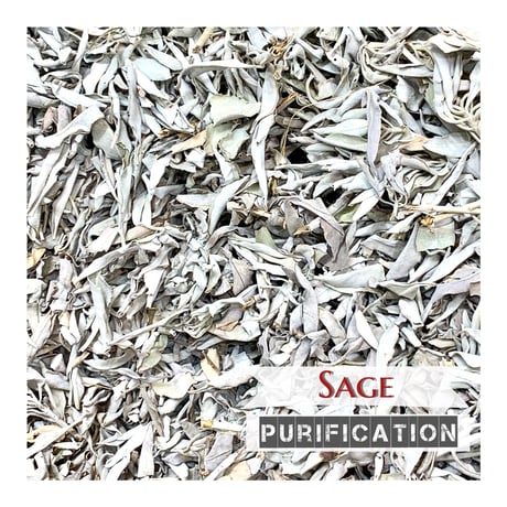 浄化用"ホワイトセージ"White Sage