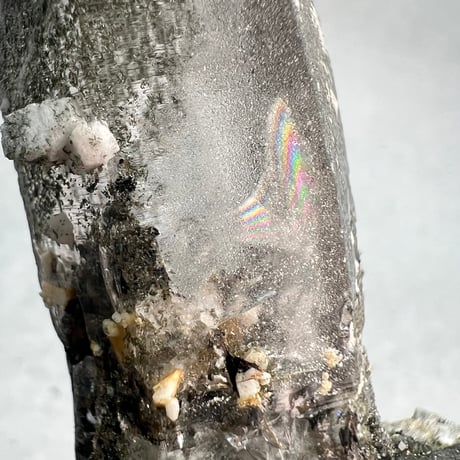 【ガネッシュヒマール産】クローライト イン天然ヒマラヤ水晶/Ganesh Himal Chlorite in Himalayan Quartz