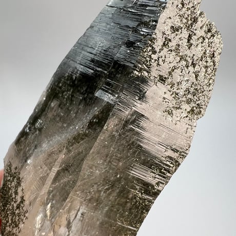 大特価【ガネッシュヒマール産】クローライトイン天然ヒマラヤ水晶⑫/Ganesh Himal Chlorite in Himalayan Quartz