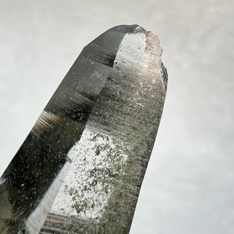 【ガネッシュヒマール産】クローライトイン天然ヒマラヤ水晶/Ganesh Himal Chlorite in Himalayan Quartz Point