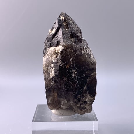 ガウリシャンカール産天然ヒマラヤスモーキークォーツポイント/Gaurishankar Himalayan Quartz Point