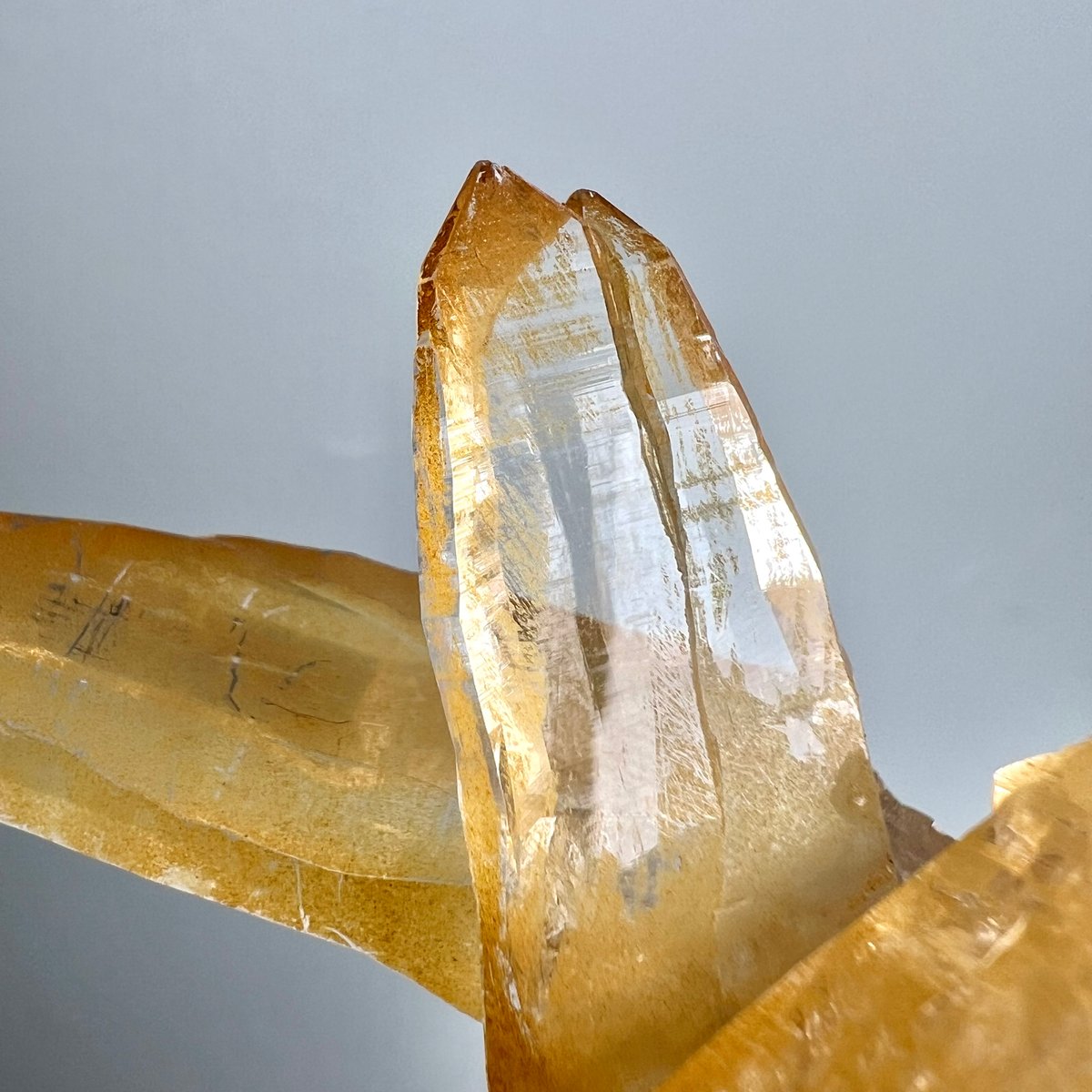 ガネッシュヒマール産リモナイトインヒマラヤ水晶/Ganesh Himal