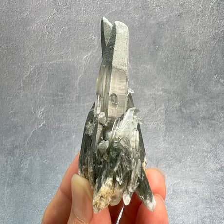 【ガネッシュヒマール産】アクチノライト&クローライトイン天然ヒマラヤ水晶/Ganesh Himal Actinorite&Chloritet in Himalayan Quartz