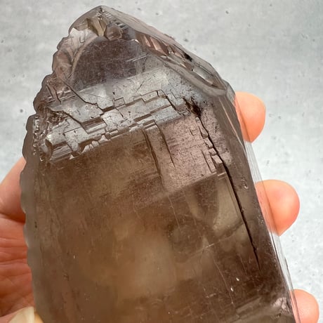 【ガウリシャンカール産】天然ヒマラヤスモーキークォーツ "ガネーシャ"/Gaurishankar HimalayanSmoky "Ganesha"
