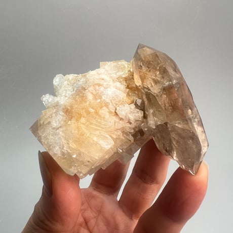 レア✨️【ガウリシャンカール産】天然ヒマラヤスモーキークォーツ   アデュラリア共生/GauriShankar Himalayan Smoky Quartz with Aduraria
