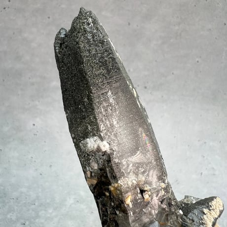 【ガネッシュヒマール産】クローライト イン天然ヒマラヤ水晶/Ganesh Himal Chlorite in Himalayan Quartz