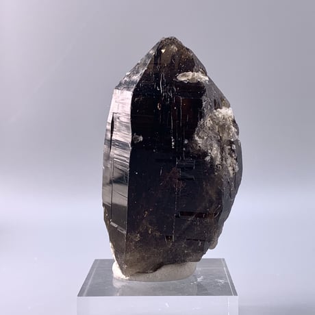 ガウリシャンカール産天然ヒマラヤスモーキークォーツポイント/Gaurishankar Himalayan Quartz Point