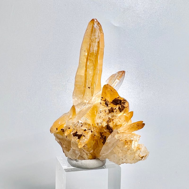 ガネッシュヒマール産リモナイトインヒマラヤ水晶/Ganesh Himal